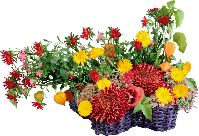 Flower Arrangement in Basket — Red, Vibrant
