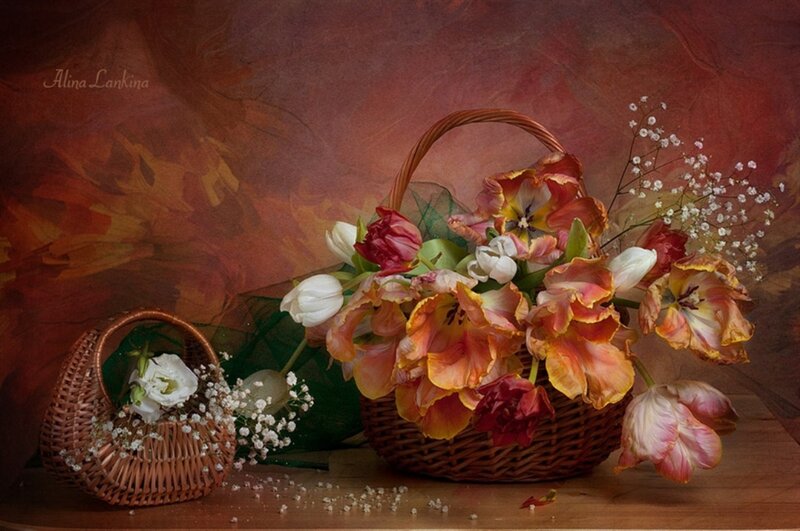 Flower Arrangement in Baskets — Brown, Calm