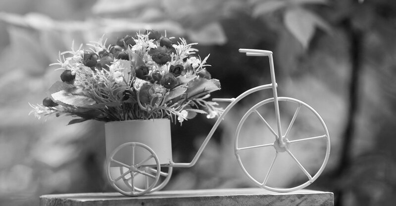 Flower Arrangement in Bicycle — Black