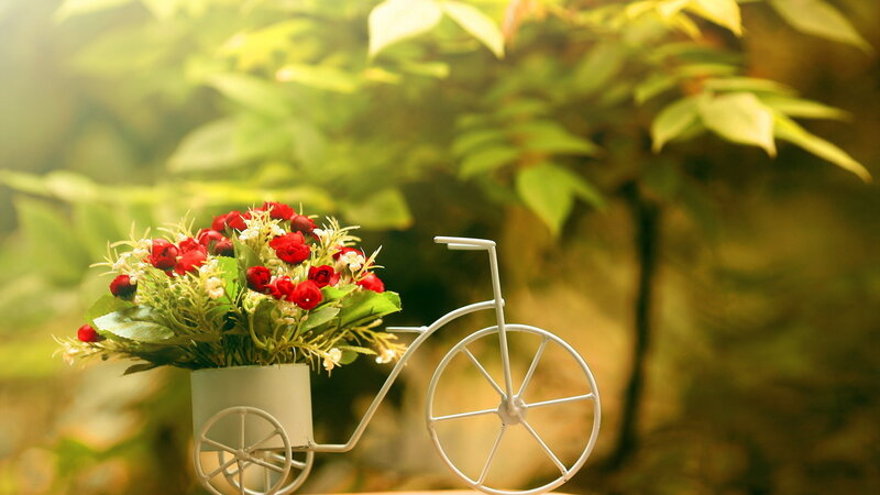 Flower Arrangement in Bicycle — Green, Serene