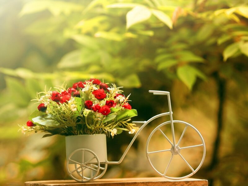 Flower Arrangement in Bicycle — Green