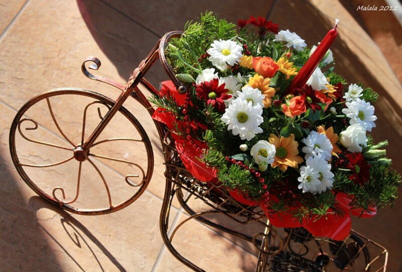 Flower Arrangement in Bicycle — Red, Festive, Afternoon