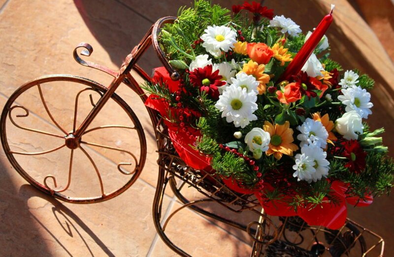 Flower Arrangement in Bicycle — Red, Festive