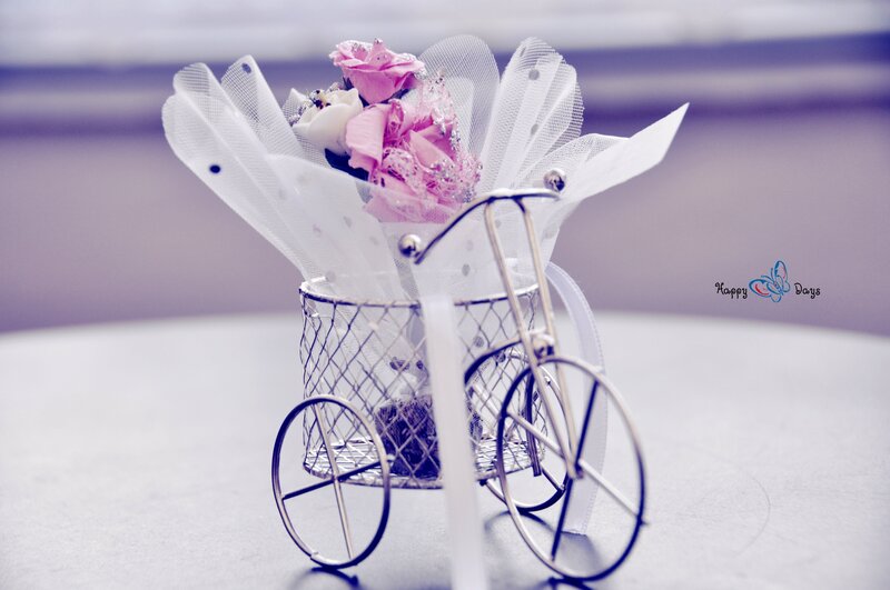 Flower Arrangement in Bicycle — White