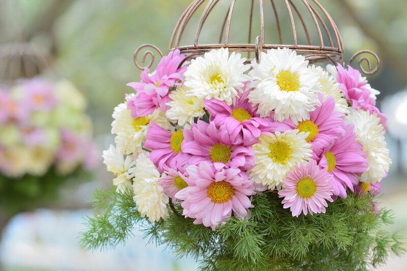 Flower Arrangement in Birdcage