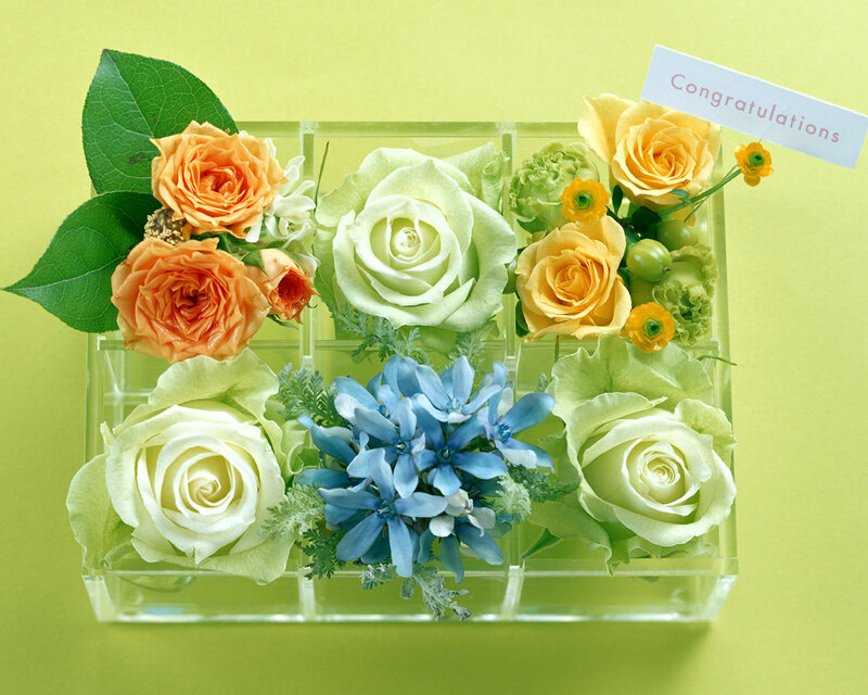 Flower Arrangement in Box — Green, Calm, Photograph