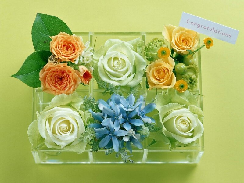Flower Arrangement in Box — Green