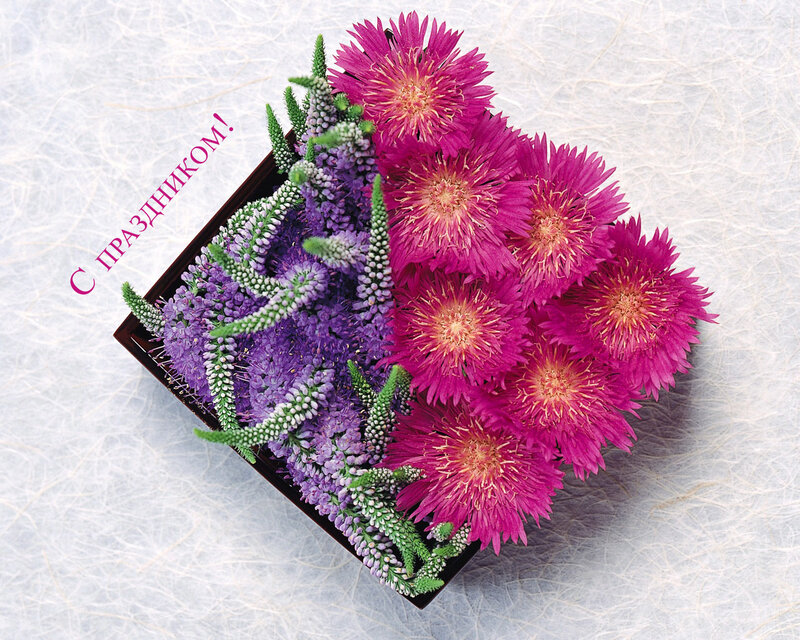 Flower Arrangement in Box — Pink, Festive