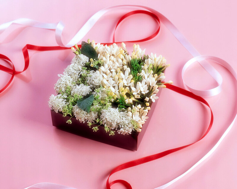 Flower Arrangement in Box — Pink, Romantic, Photograph, Ribbons