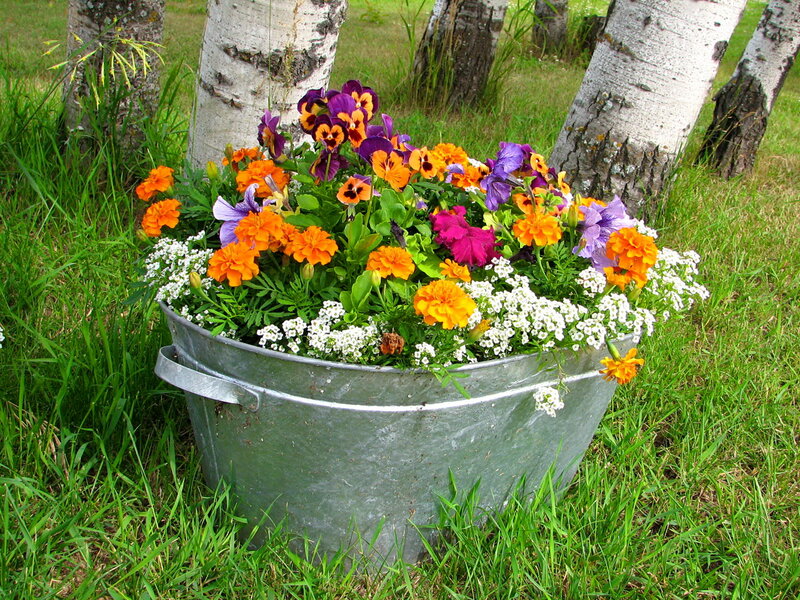 Flower Arrangement in Bucket — Green