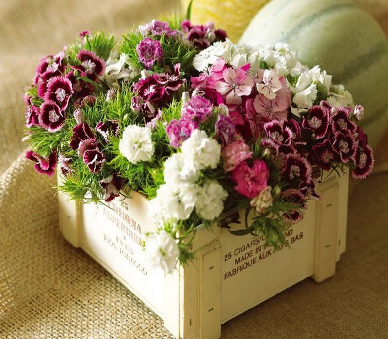 Flower Arrangement in Crate
