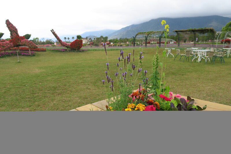 Flower Arrangement in Foreground