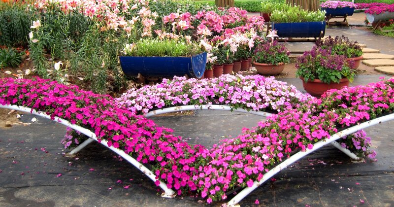 Flower Arrangement in Garden — Pink