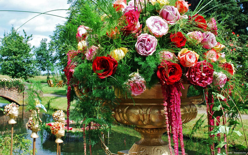 Flower Arrangement in Garden — Red