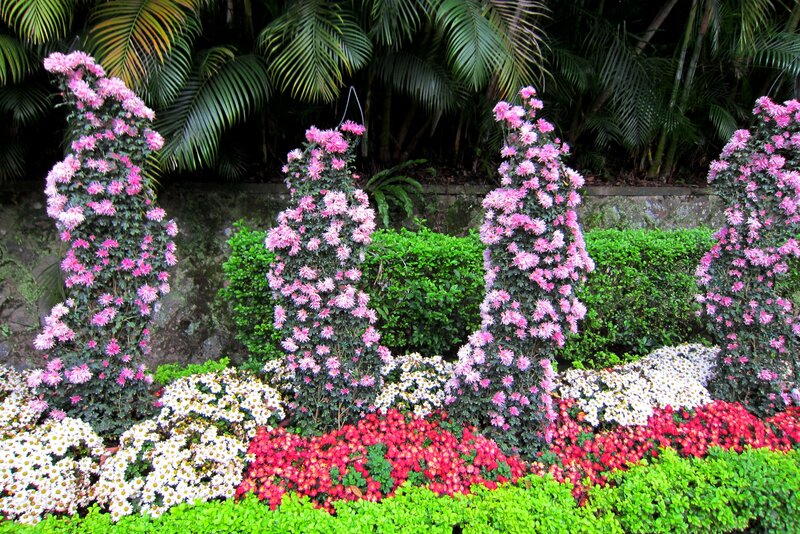 Flower Arrangement in Garden