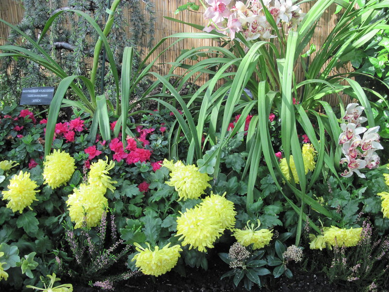 Flower Arrangement in Garden — Yellow