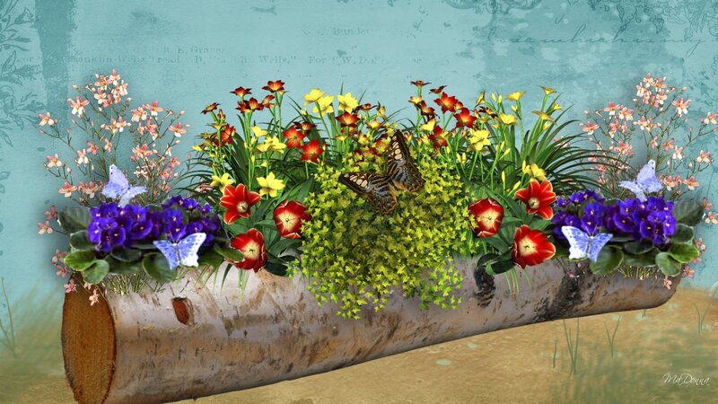 Flower Arrangement in Log