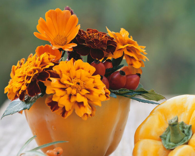 Flower Arrangement in Pepper