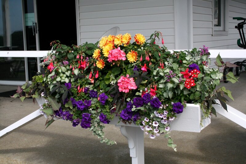 Flower Arrangement in Planter — Purple, Colorful