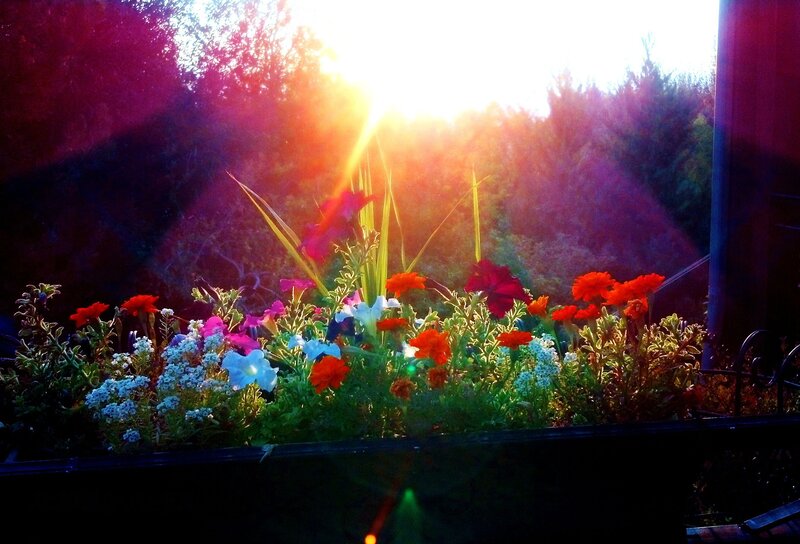 Flower Arrangement in Planter — Red