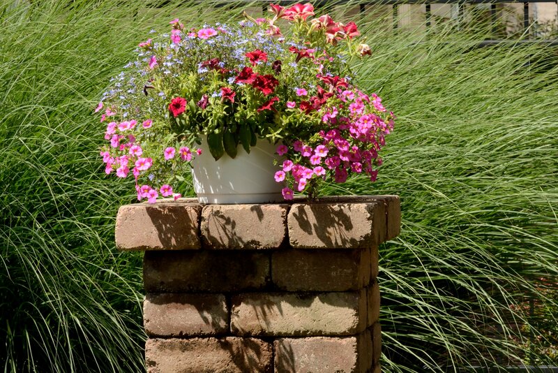 Flower Arrangement in Pot — Green