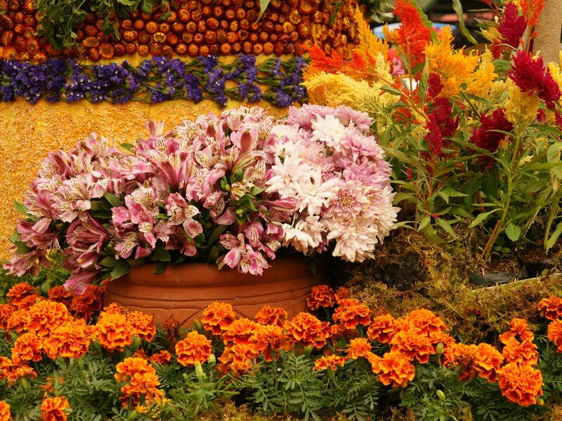 Flower Arrangement in Pot