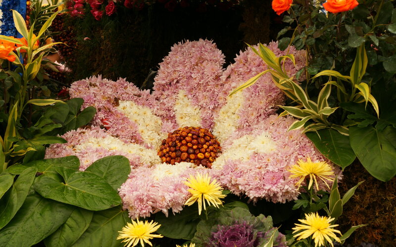 Flower Arrangement in Shape of Daisy