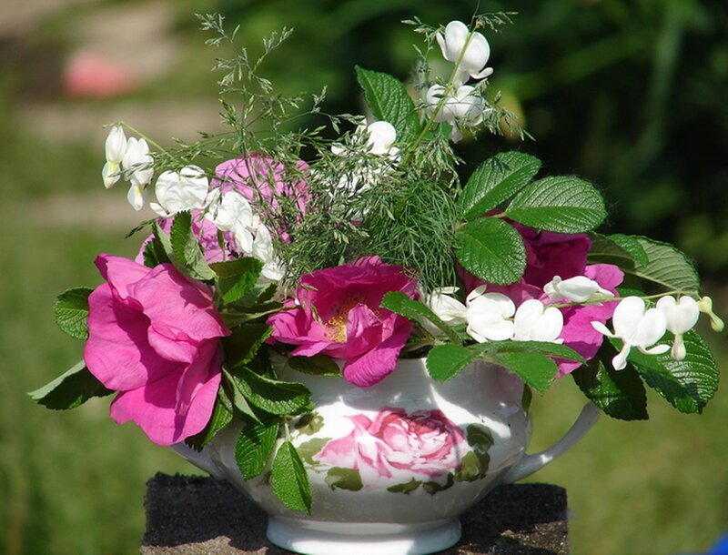 Flower Arrangement in Teacup — Pink, Serene