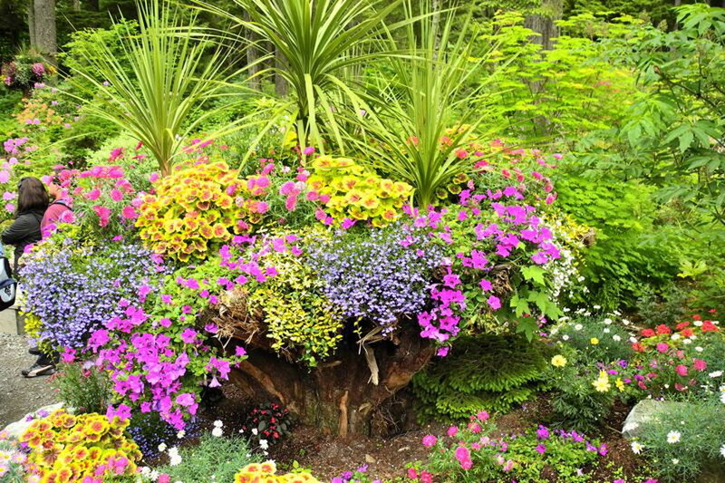Flower Arrangement in Tree Stump — Purple