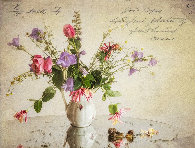 Flower Arrangement in Vase — Pink, Calm, Photograph, Snails