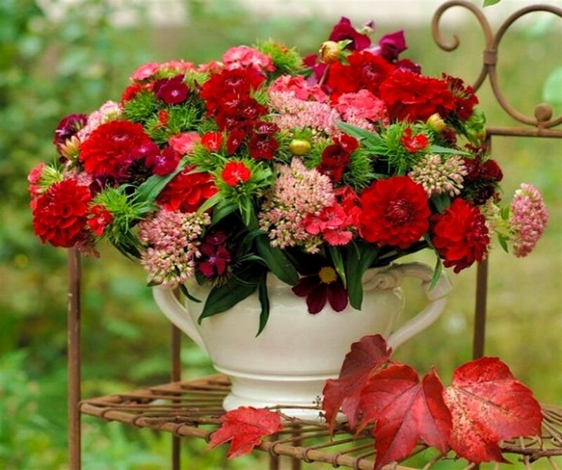 Flower Arrangement in Vase — Red, Serene