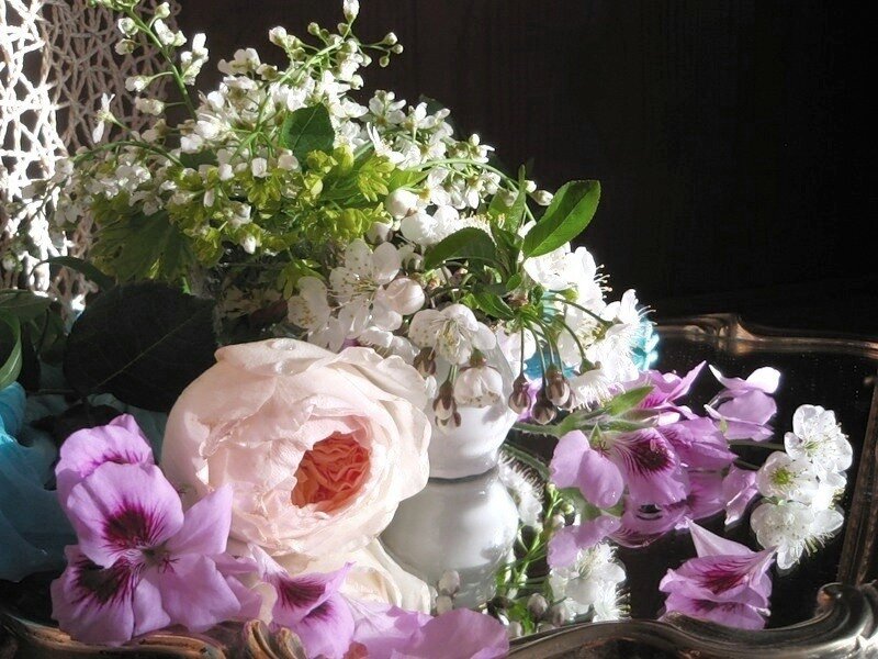 Flower Arrangement in Vase — White, Dramatic