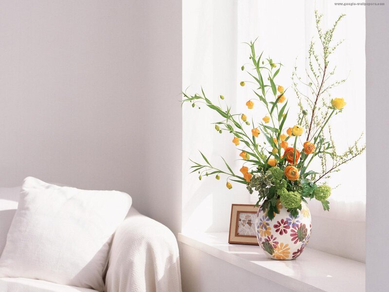 Flower Arrangement in Vase — White, Serene, Morning, Photograph