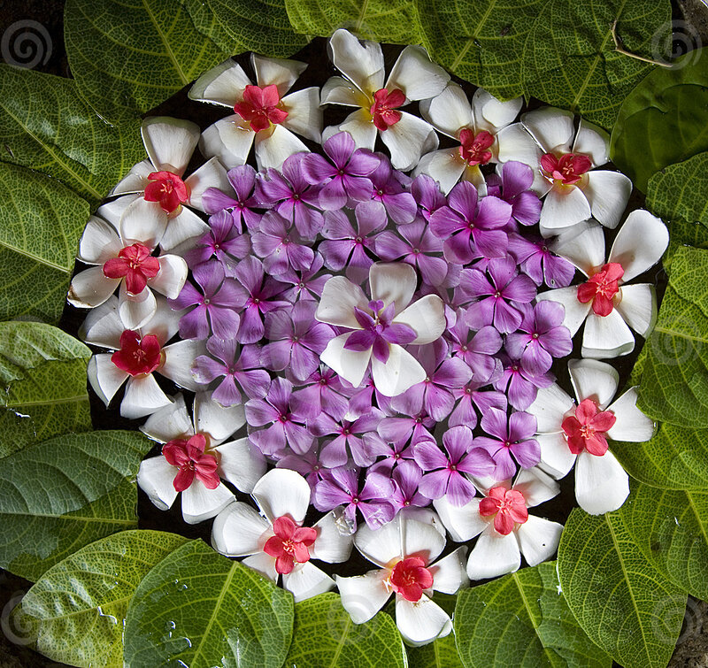 Flower Arrangement in Water