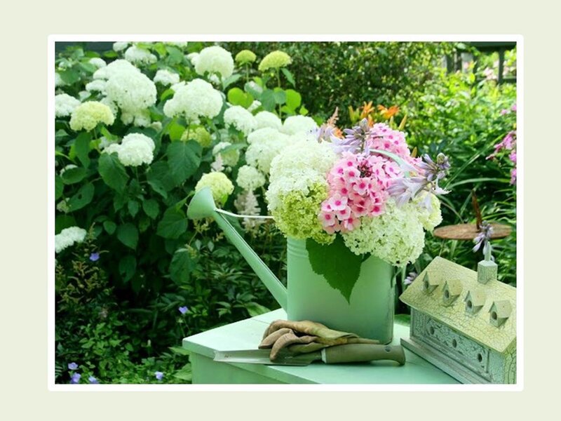 Flower Arrangement in Watering Can — Green, Serene