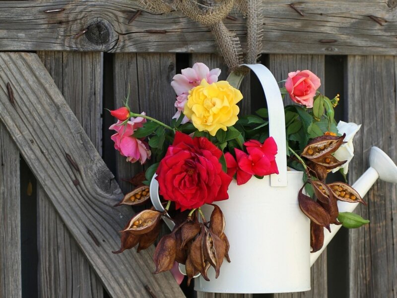 Flower Arrangement in Watering Can — White, Calm