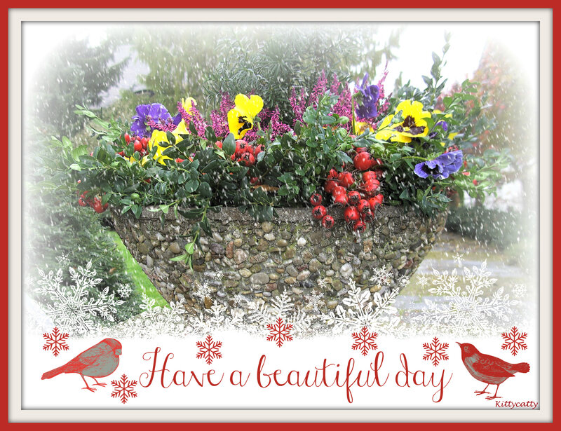 Flower Arrangement in Winter