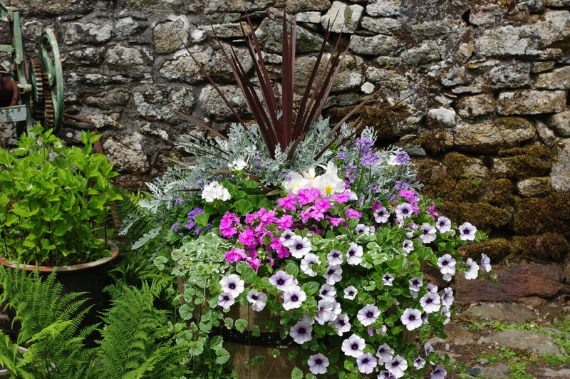 Flower arrangement in wooden barrel