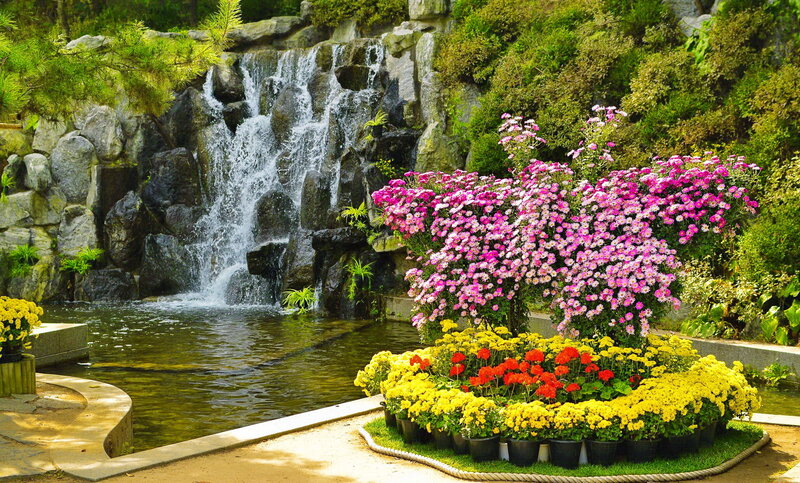 Flower Arrangement Near Waterfall