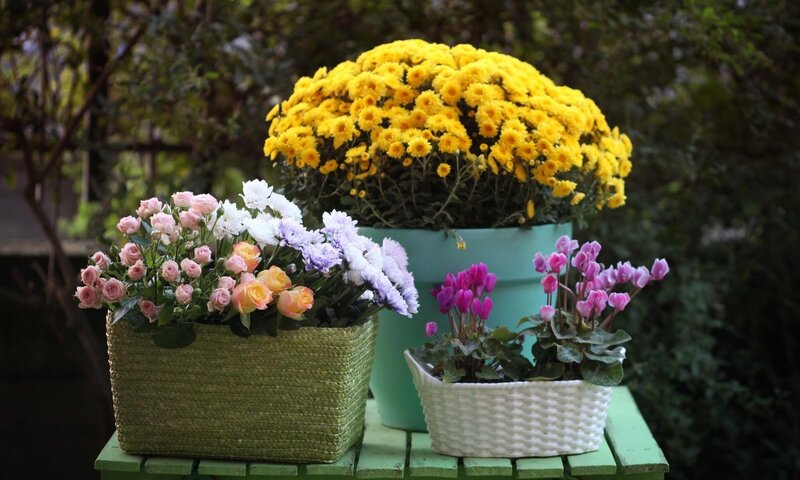 Flower arrangement on a table