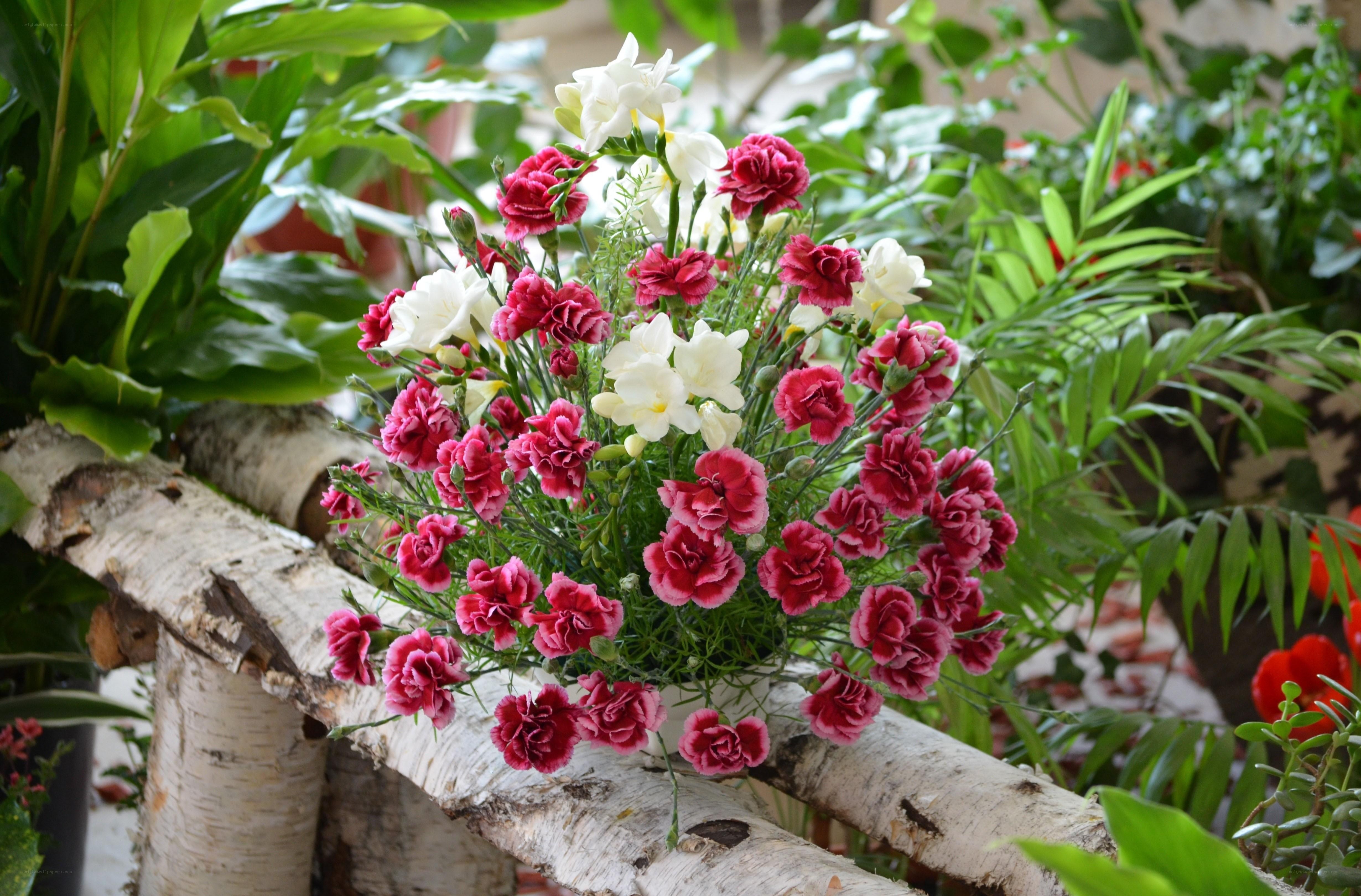 Flower arrangement on birch logs