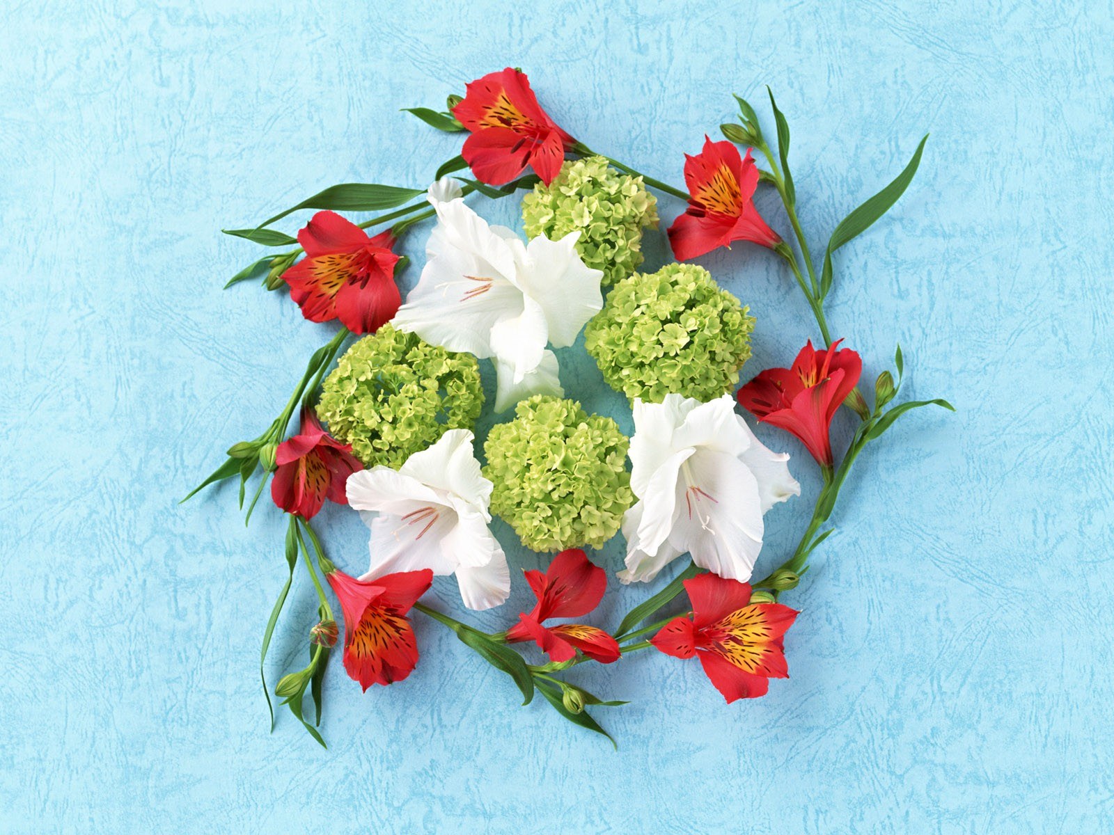 Flower arrangement on blue