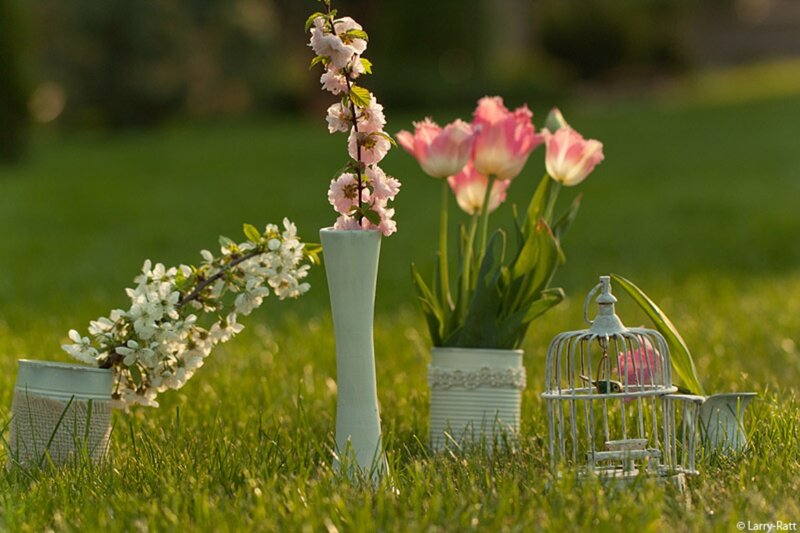 Flower Arrangement on Grass — Green