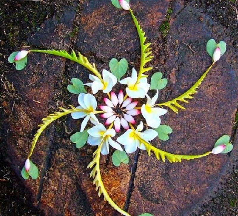 Flower Arrangement on Rock