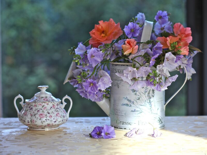 Flower Arrangement on Table — Purple, Serene, Afternoon