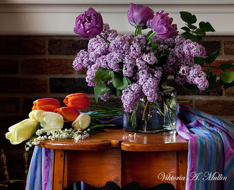 Flower Arrangement on Table — Purple, Serene, Spring, Photograph