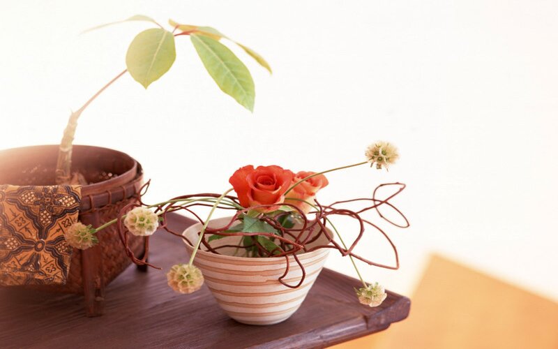Flower Arrangement on Table — White, Serene, Afternoon