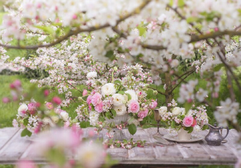 Flower Arrangement on Table — White, Serene, Spring, Photograph, Flowers