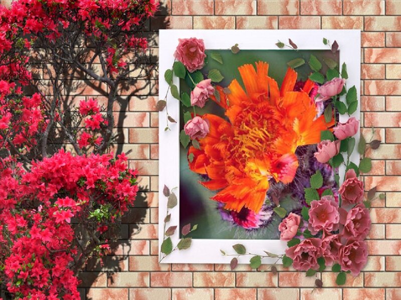 Flower Arrangement on Wall — Orange