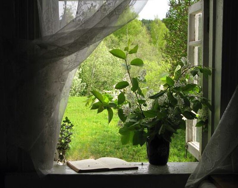 Flower Arrangement on Windowsill — Green